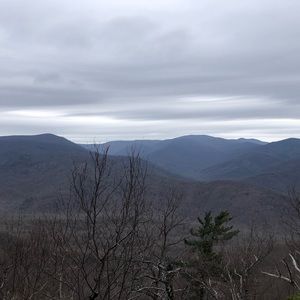 Meet your Posher, Sophie